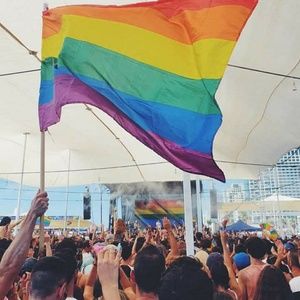 Meet your Posher, Daisy